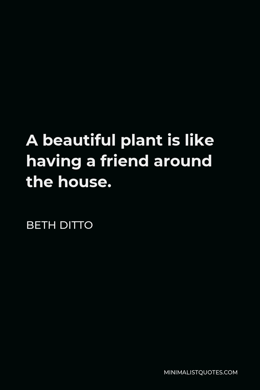 Beth Ditto Quote - A beautiful plant is like having a friend around the house.
