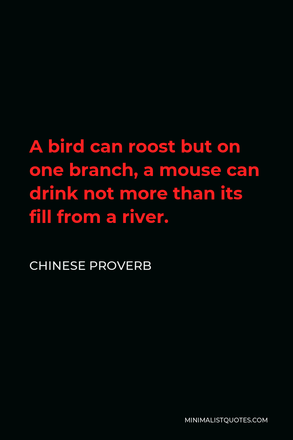 Chinese Proverb Quote - A bird can roost but on one branch, a mouse can drink not more than its fill from a river.