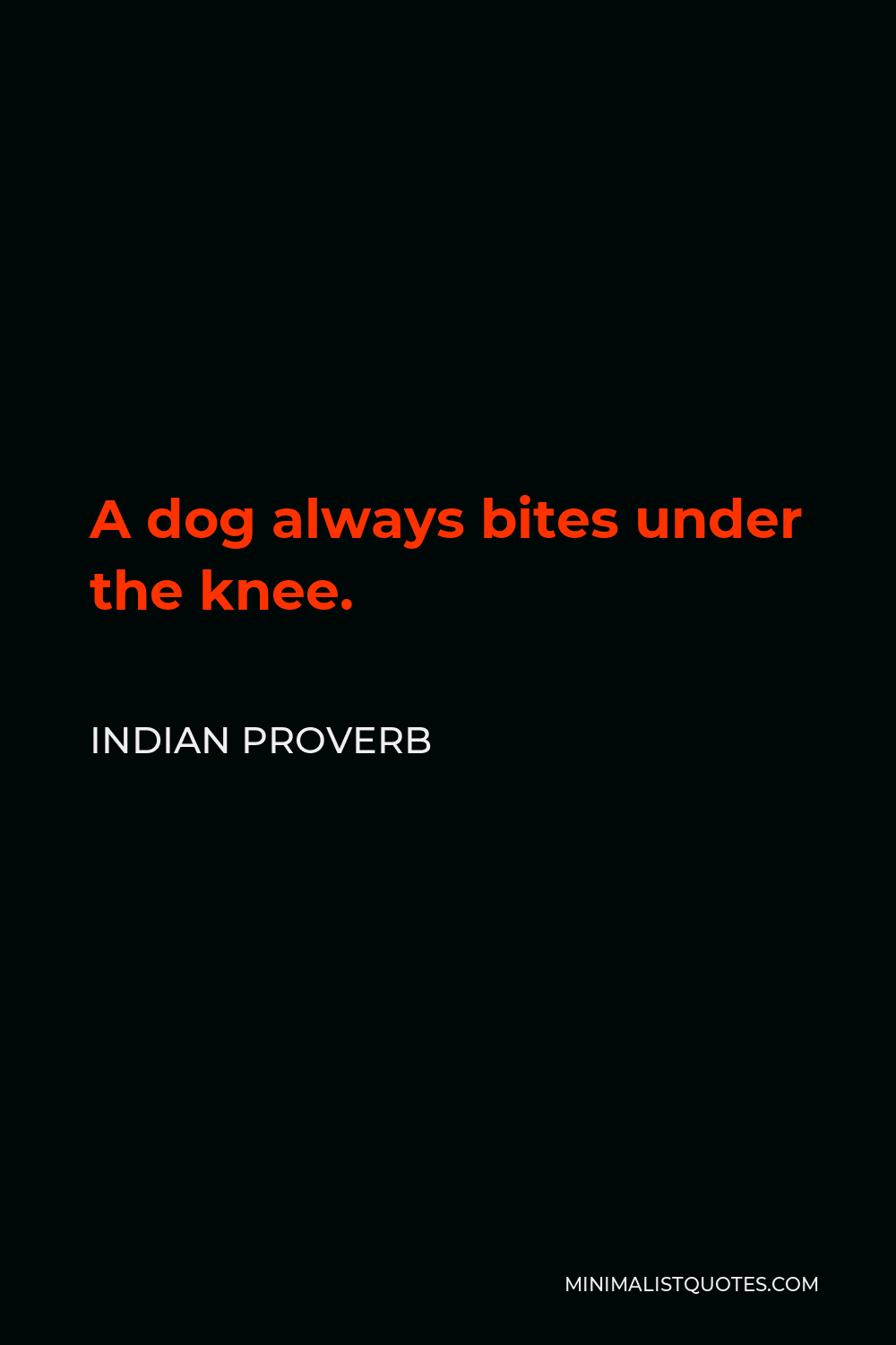 Indian Proverb Quote - A dog always bites under the knee.