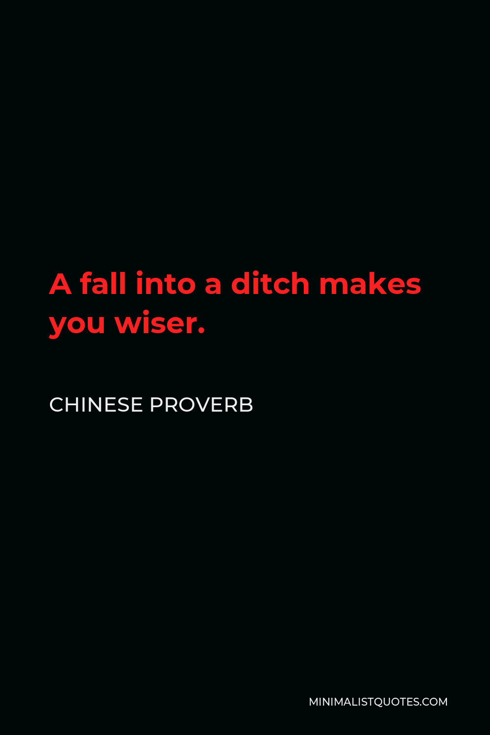 Chinese Proverb Quote - A fall into a ditch makes you wiser.