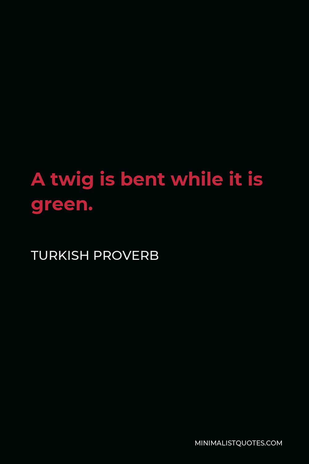 Turkish Proverb Quote - A twig is bent while it is green.