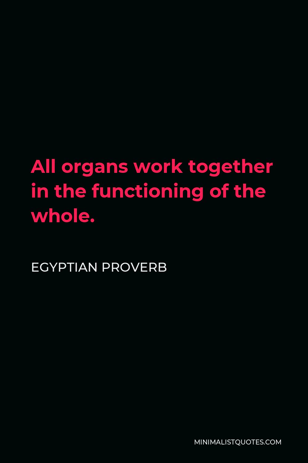 Egyptian Proverb Quote - All organs work together in the functioning of the whole.