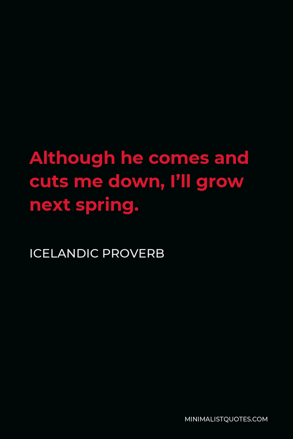 Icelandic Proverb Quote - Although he comes and cuts me down, I’ll grow next spring.