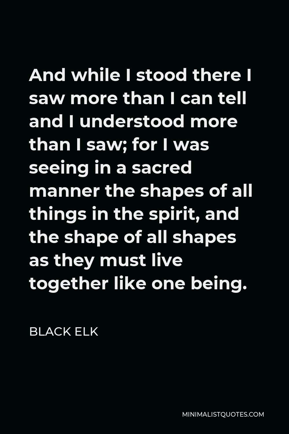 Black Elk Quote - And while I stood there I saw more than I can tell and I understood more than I saw; for I was seeing in a sacred manner the shapes of all things in the spirit, and the shape of all shapes as they must live together like one being.