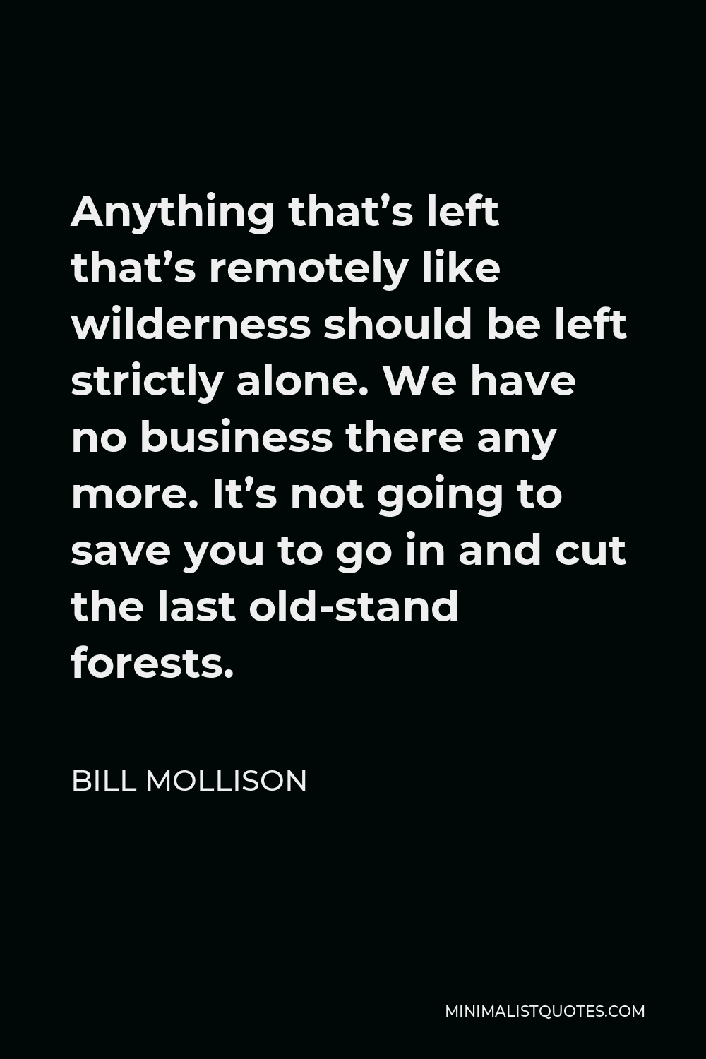 Bill Mollison Quote - Anything that’s left that’s remotely like wilderness should be left strictly alone. We have no business there any more. It’s not going to save you to go in and cut the last old-stand forests.