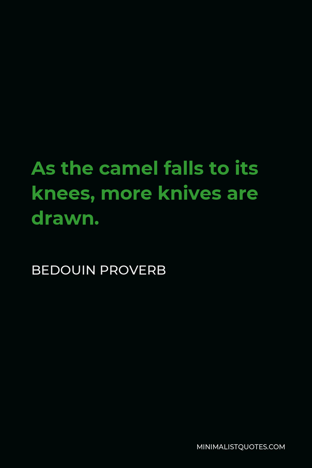 Bedouin Proverb Quote - As the camel falls to its knees, more knives are drawn.
