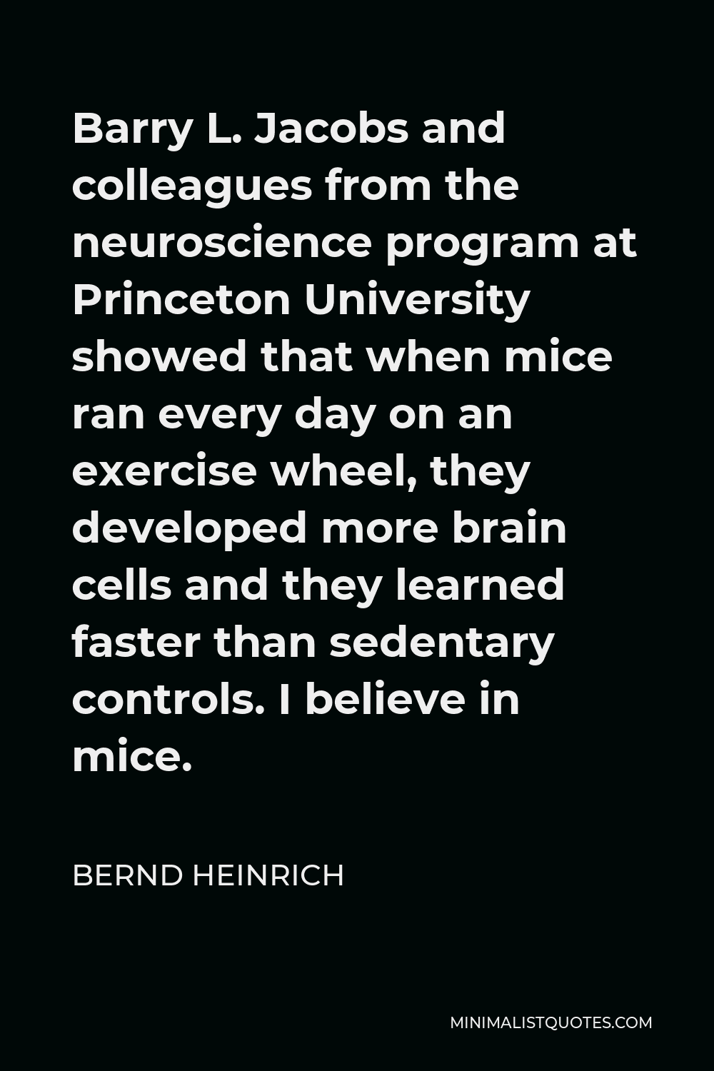 Bernd Heinrich Quote - Barry L. Jacobs and colleagues from the neuroscience program at Princeton University showed that when mice ran every day on an exercise wheel, they developed more brain cells and they learned faster than sedentary controls. I believe in mice.