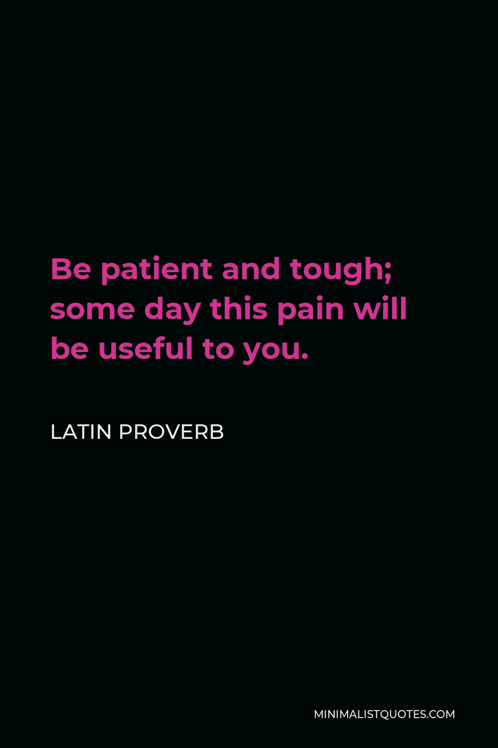 Latin Proverb Quote - Be patient and tough; some day this pain will be useful to you.