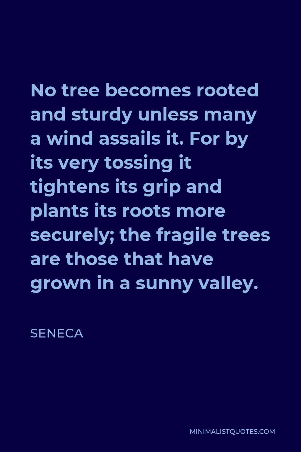 Seneca Quote - No tree becomes rooted and sturdy unless many a wind assails it. For by its very tossing it tightens its grip and plants its roots more securely; the fragile trees are those that have grown in a sunny valley.