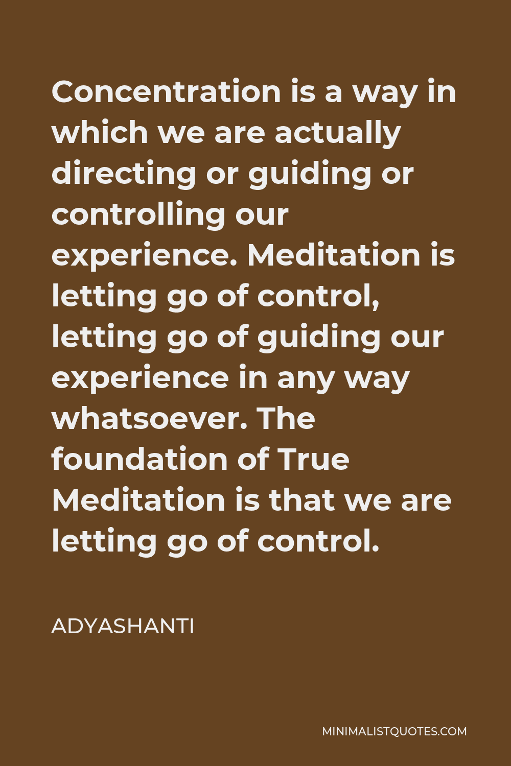 Adyashanti Quote - Concentration is a way in which we are actually directing or guiding or controlling our experience. Meditation is letting go of control, letting go of guiding our experience in any way whatsoever. The foundation of True Meditation is that we are letting go of control.