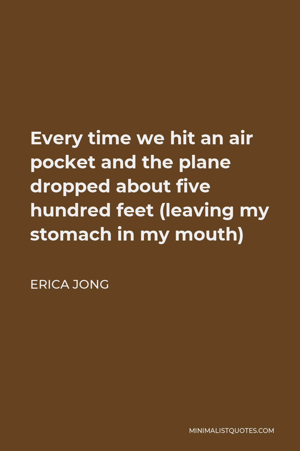 Erica Jong Quote - Every time we hit an air pocket and the plane dropped about five hundred feet (leaving my stomach in my mouth)