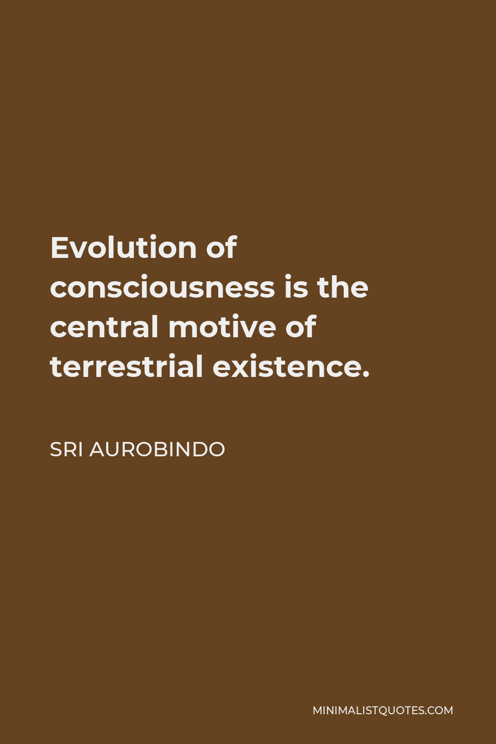 Sri Aurobindo Quote - Evolution of consciousness is the central motive of terrestrial existence.