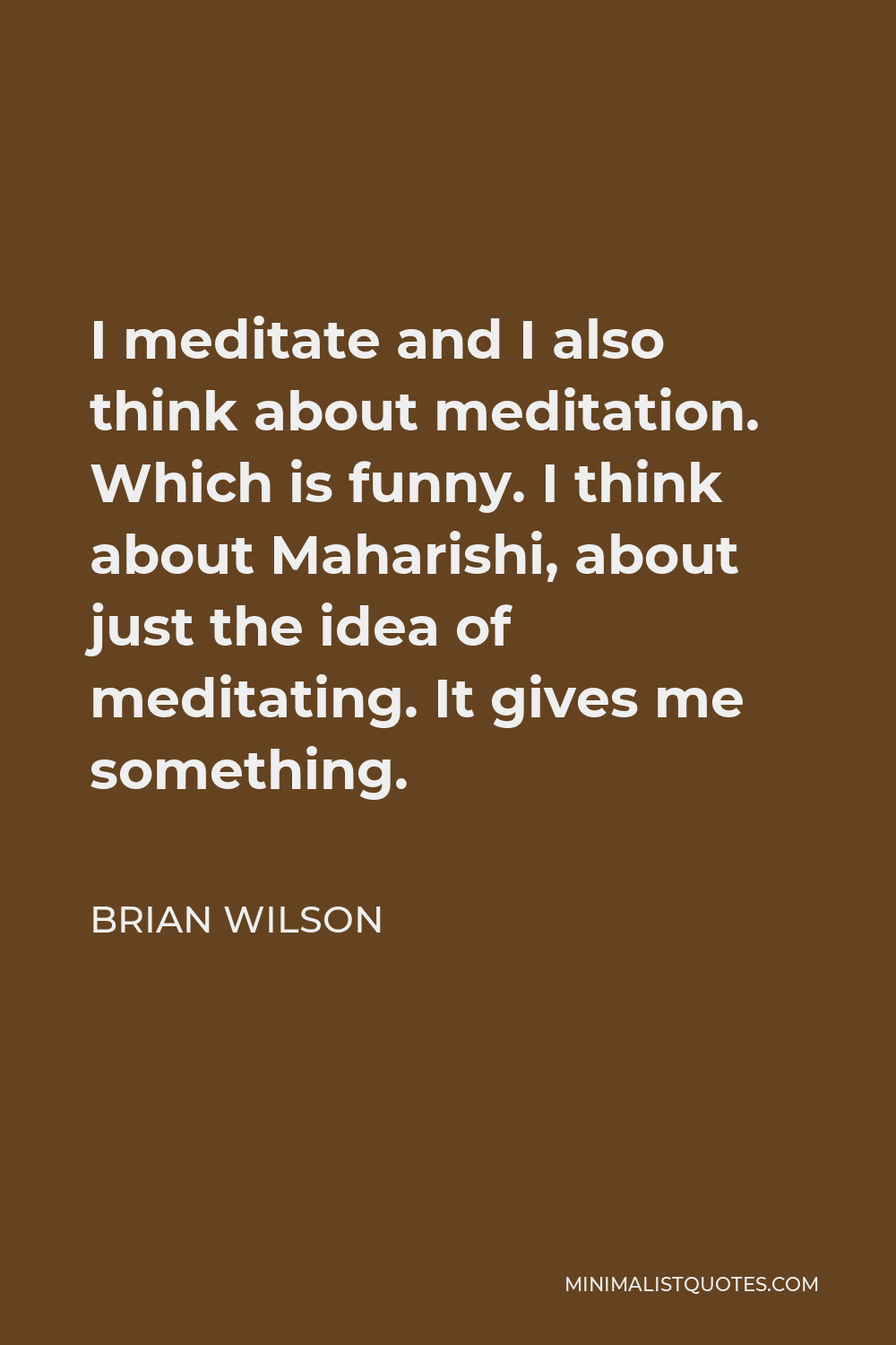 Brian Wilson Quote - I meditate and I also think about meditation. Which is funny. I think about Maharishi, about just the idea of meditating. It gives me something.