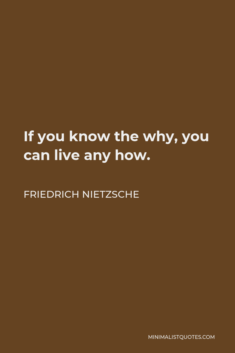 Friedrich Nietzsche Quote - If you know the why, you can live any how.