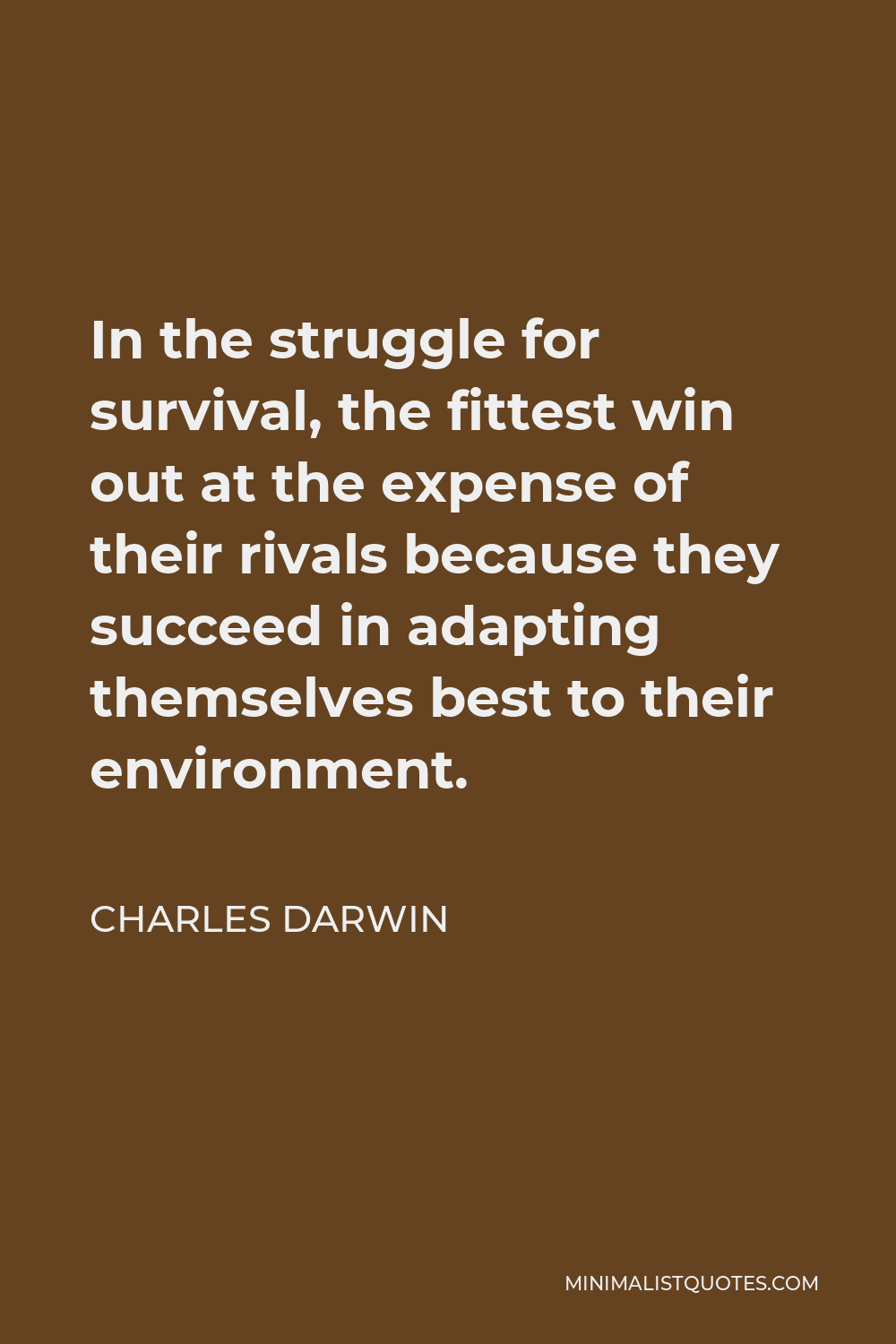 Charles Darwin Quote - In the struggle for survival, the fittest win out at the expense of their rivals because they succeed in adapting themselves best to their environment.