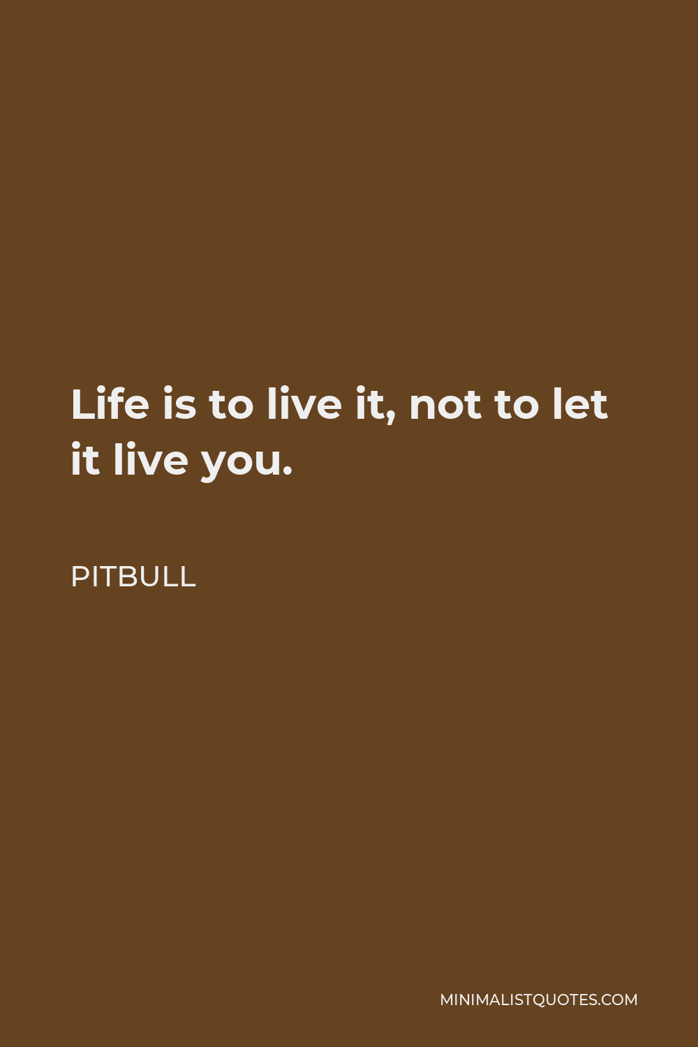 Pitbull Quote - Life is to live it, not to let it live you.