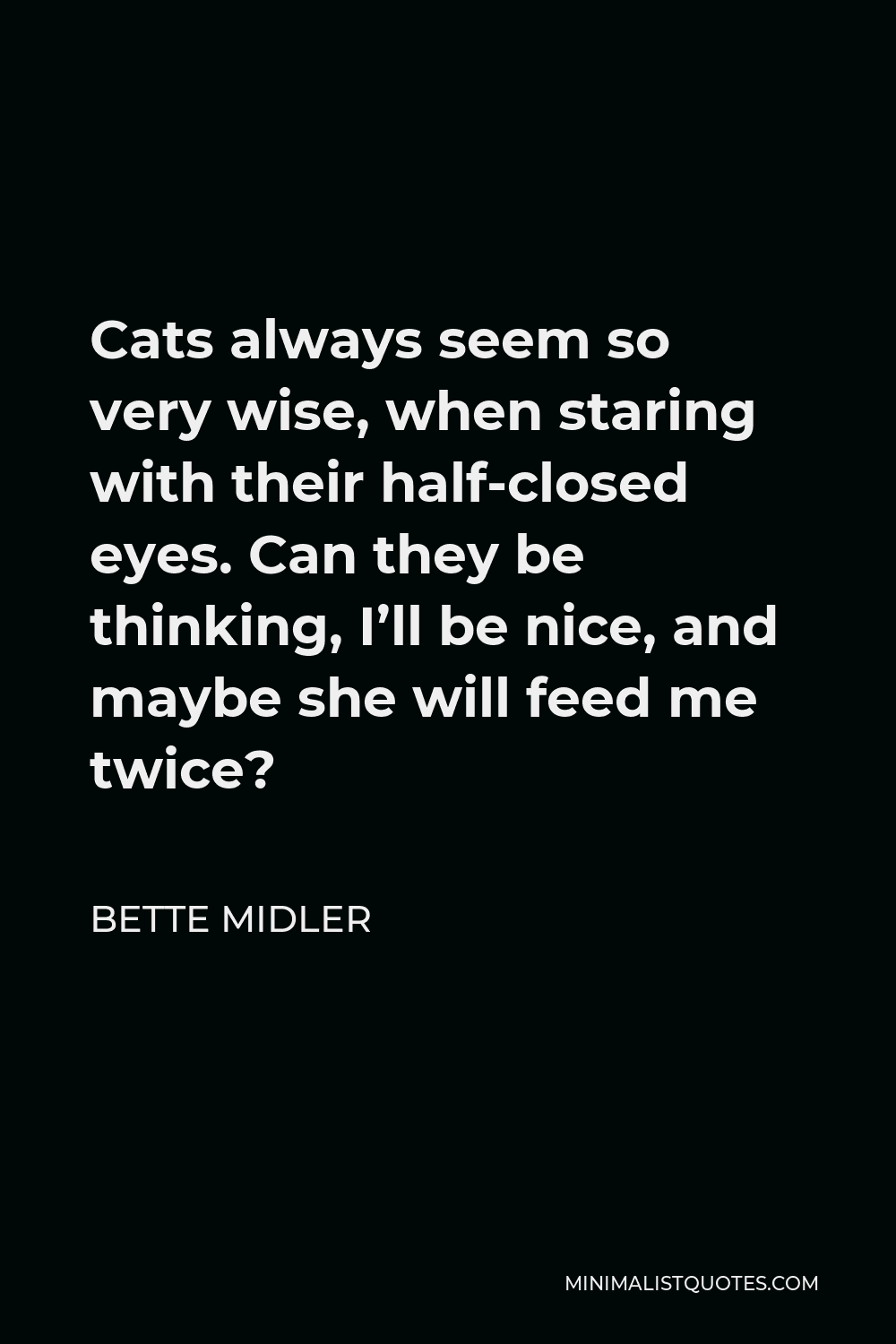 Bette Midler Quote - Cats always seem so very wise, when staring with their half-closed eyes. Can they be thinking, I’ll be nice, and maybe she will feed me twice?