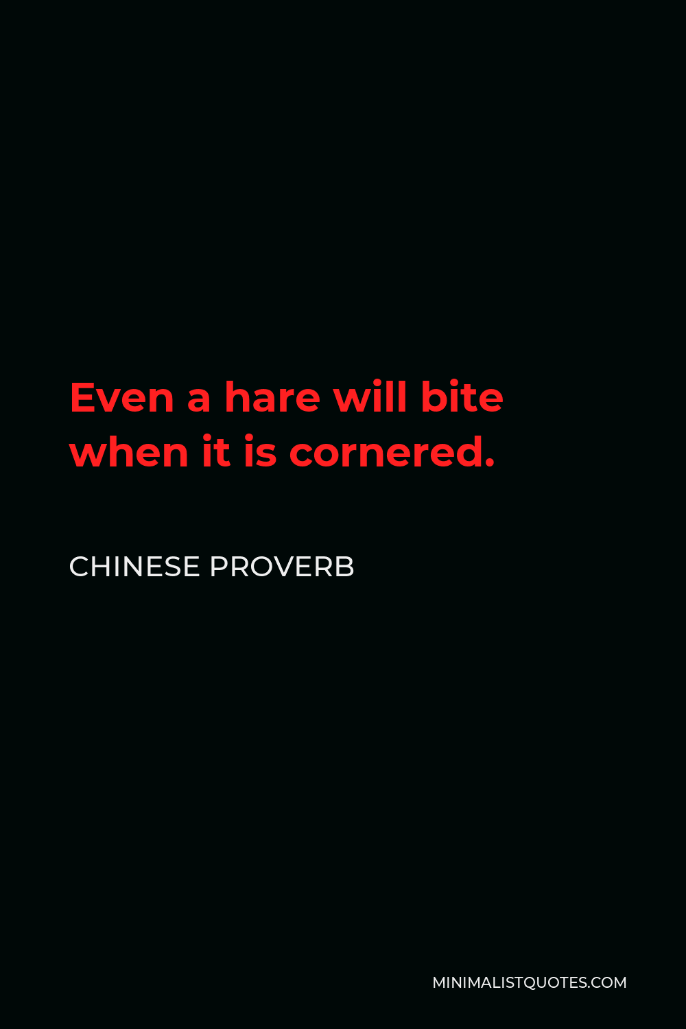 Chinese Proverb Quote - Even a hare will bite when it is cornered.
