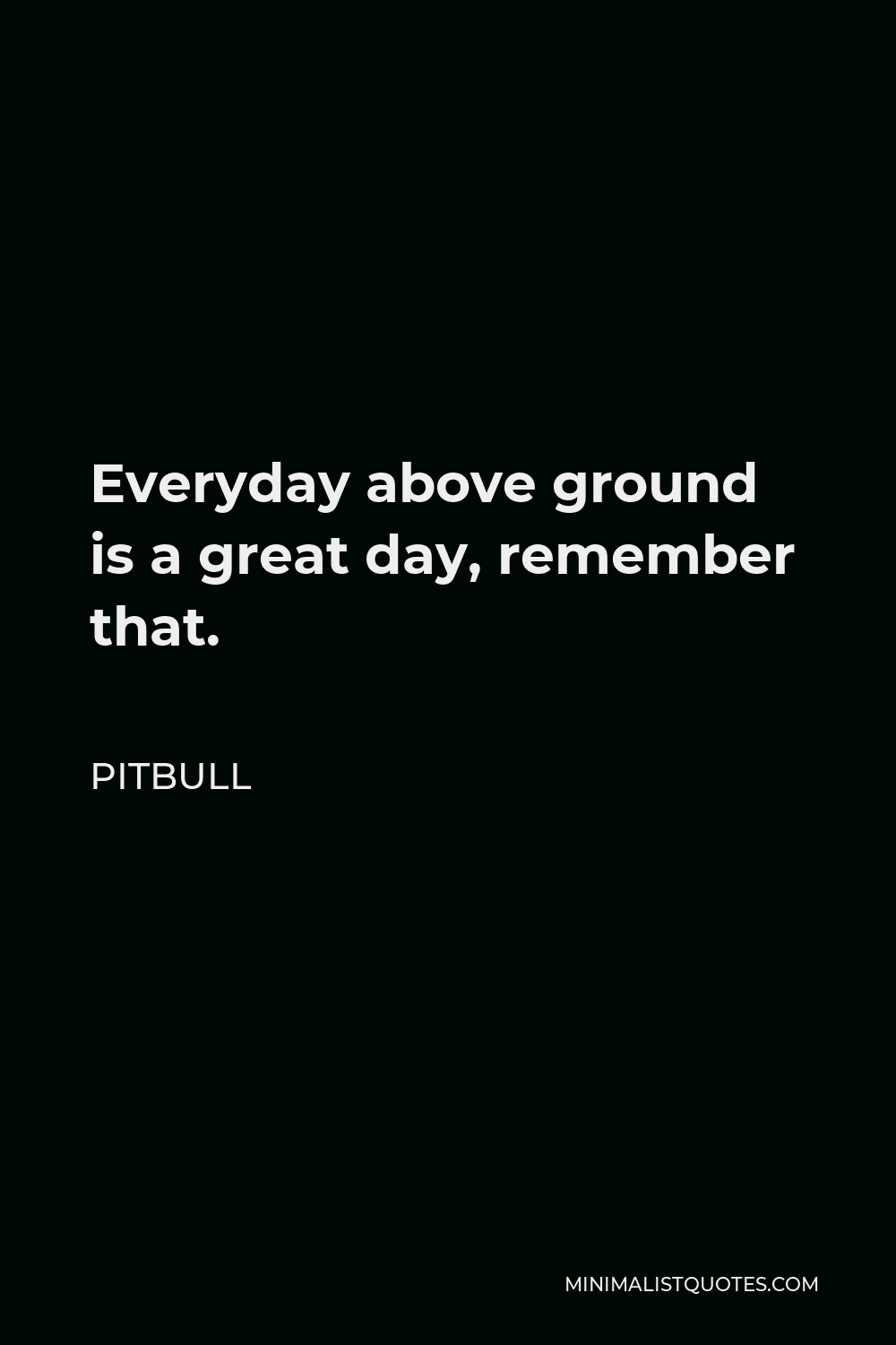 Everyday Above Ground Is A Great Day Pitbull Quote: Everyday Above Ground Is A Great Day, Remember That.