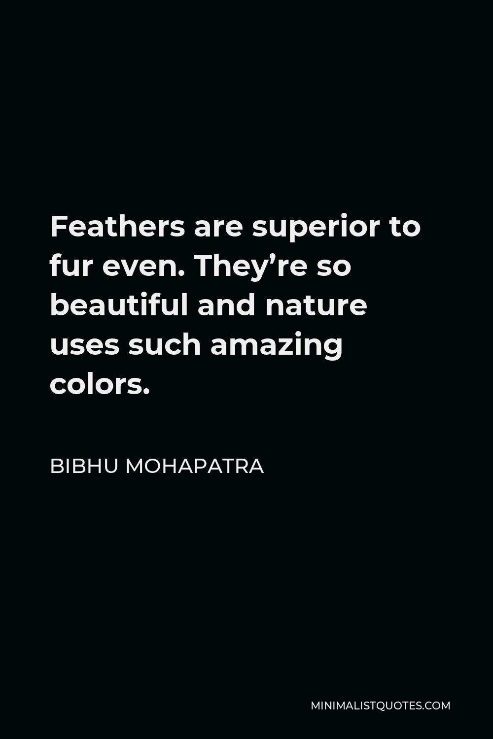 Bibhu Mohapatra Quote - Feathers are superior to fur even. They’re so beautiful and nature uses such amazing colors.