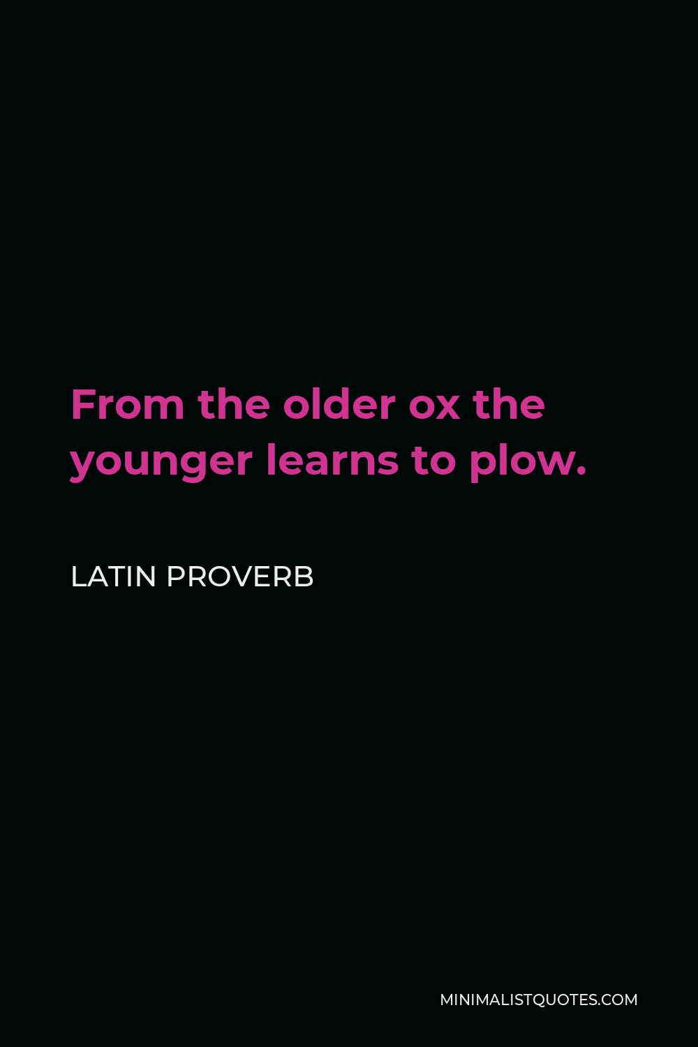 Latin Proverb Quote - From the older ox the younger learns to plow.