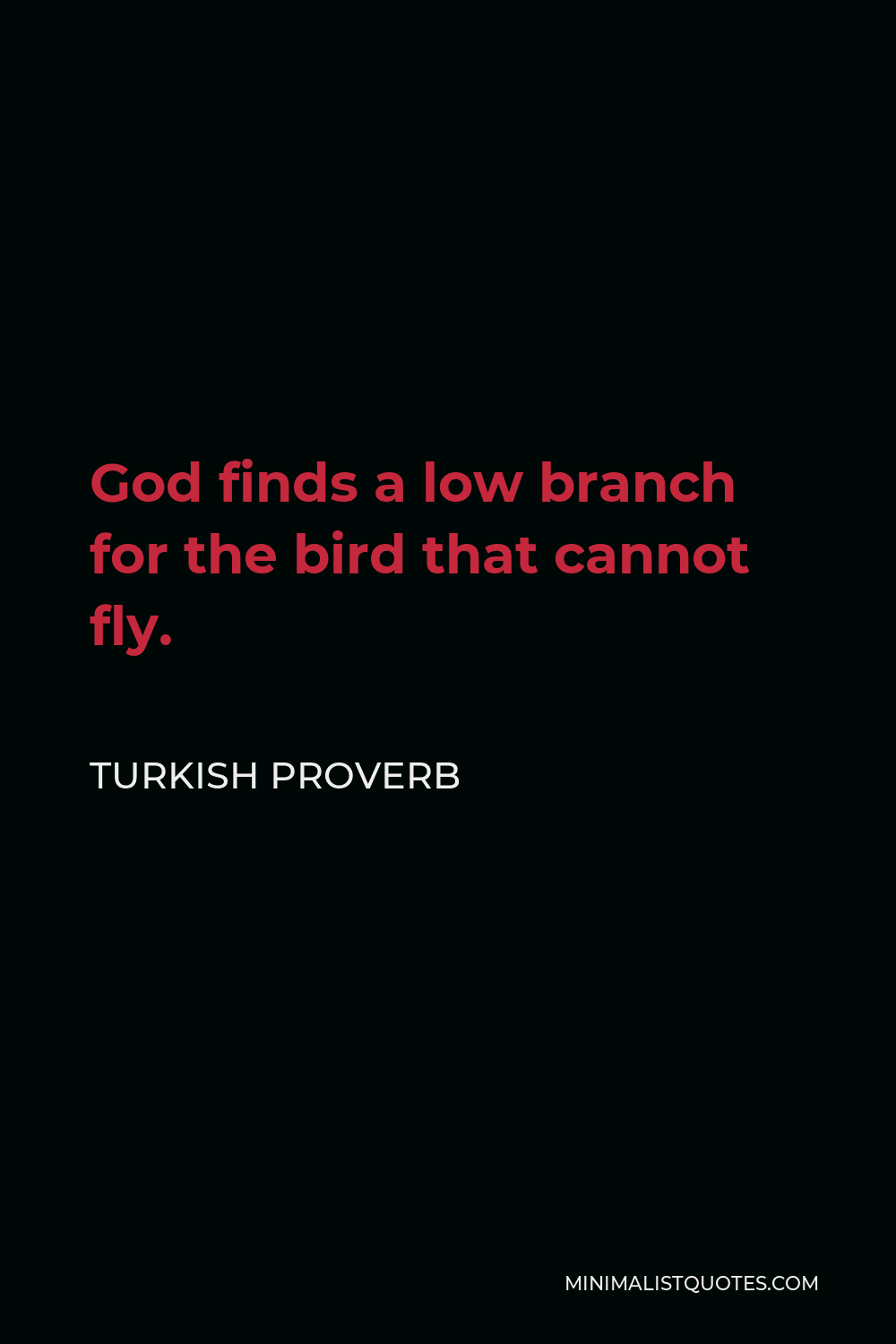 Turkish Proverb Quote - God finds a low branch for the bird that cannot fly.