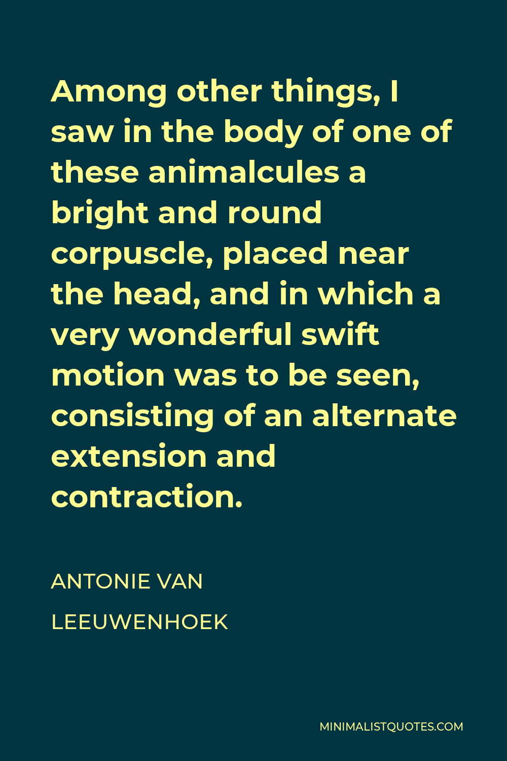 Antonie van Leeuwenhoek Quote - Among other things, I saw in the body of one of these animalcules a bright and round corpuscle, placed near the head, and in which a very wonderful swift motion was to be seen, consisting of an alternate extension and contraction.