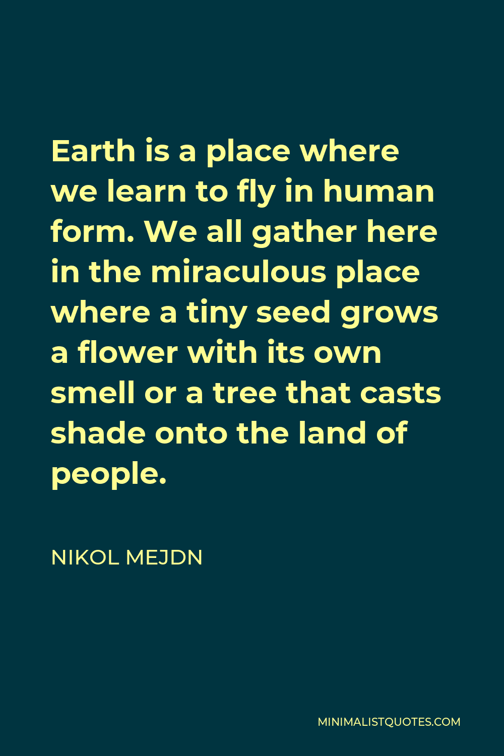 Nikol Mejdn Quote - Earth is a place where we learn to fly in human form. We all gather here in the miraculous place where a tiny seed grows a flower with its own smell or a tree that casts shade onto the land of people.