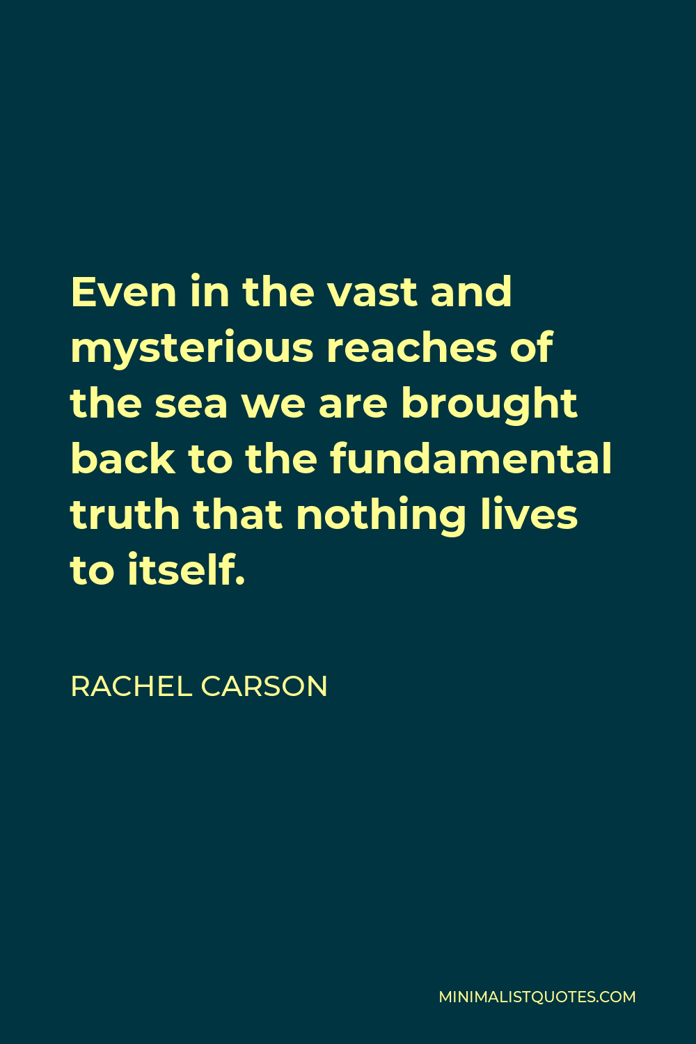 Rachel Carson Quote - Even in the vast and mysterious reaches of the sea we are brought back to the fundamental truth that nothing lives to itself.
