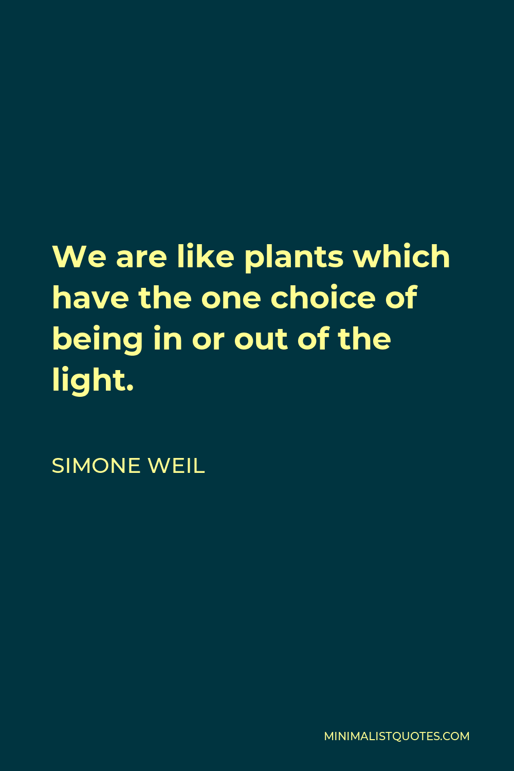 Simone Weil Quote - We are like plants which have the one choice of being in or out of the light.