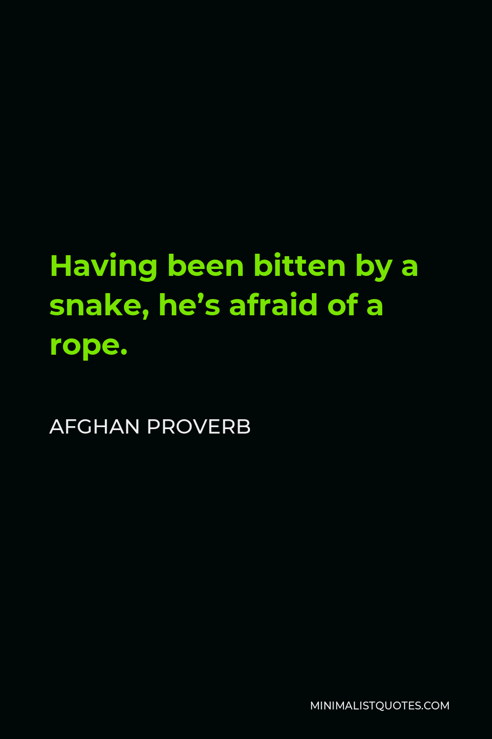 Afghan Proverb Quote - Having been bitten by a snake, he’s afraid of a rope.