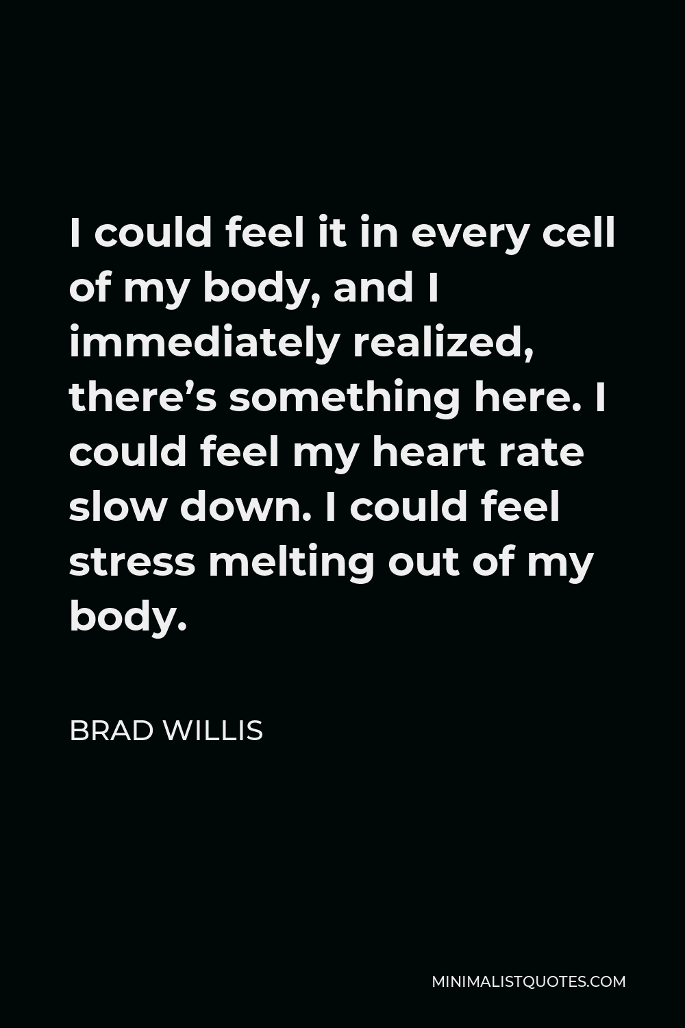 Brad Willis Quote - I could feel it in every cell of my body, and I immediately realized, there’s something here. I could feel my heart rate slow down. I could feel stress melting out of my body.