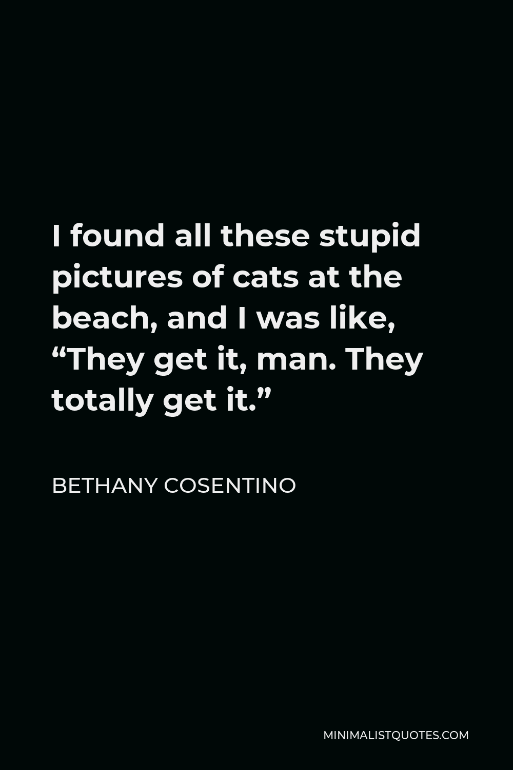 Bethany Cosentino Quote - I found all these stupid pictures of cats at the beach, and I was like, “They get it, man. They totally get it.”