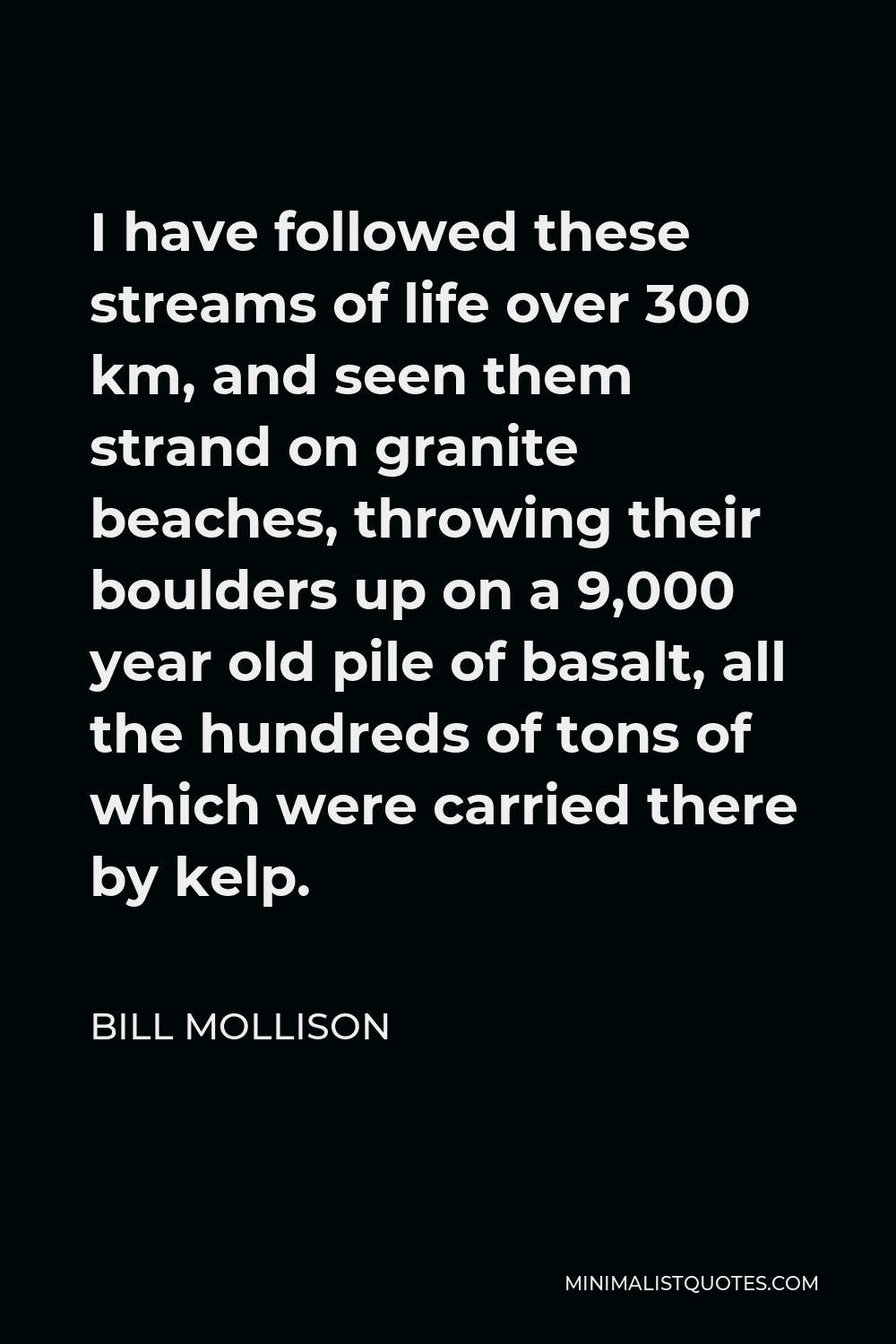 Bill Mollison Quote - I have followed these streams of life over 300 km, and seen them strand on granite beaches, throwing their boulders up on a 9,000 year old pile of basalt, all the hundreds of tons of which were carried there by kelp.