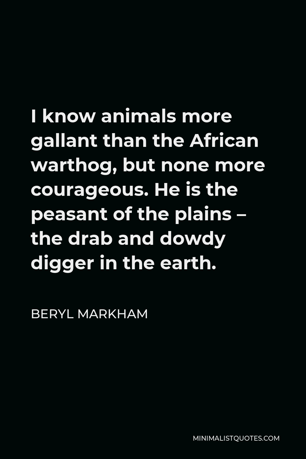 Beryl Markham Quote - I know animals more gallant than the African warthog, but none more courageous. He is the peasant of the plains – the drab and dowdy digger in the earth.