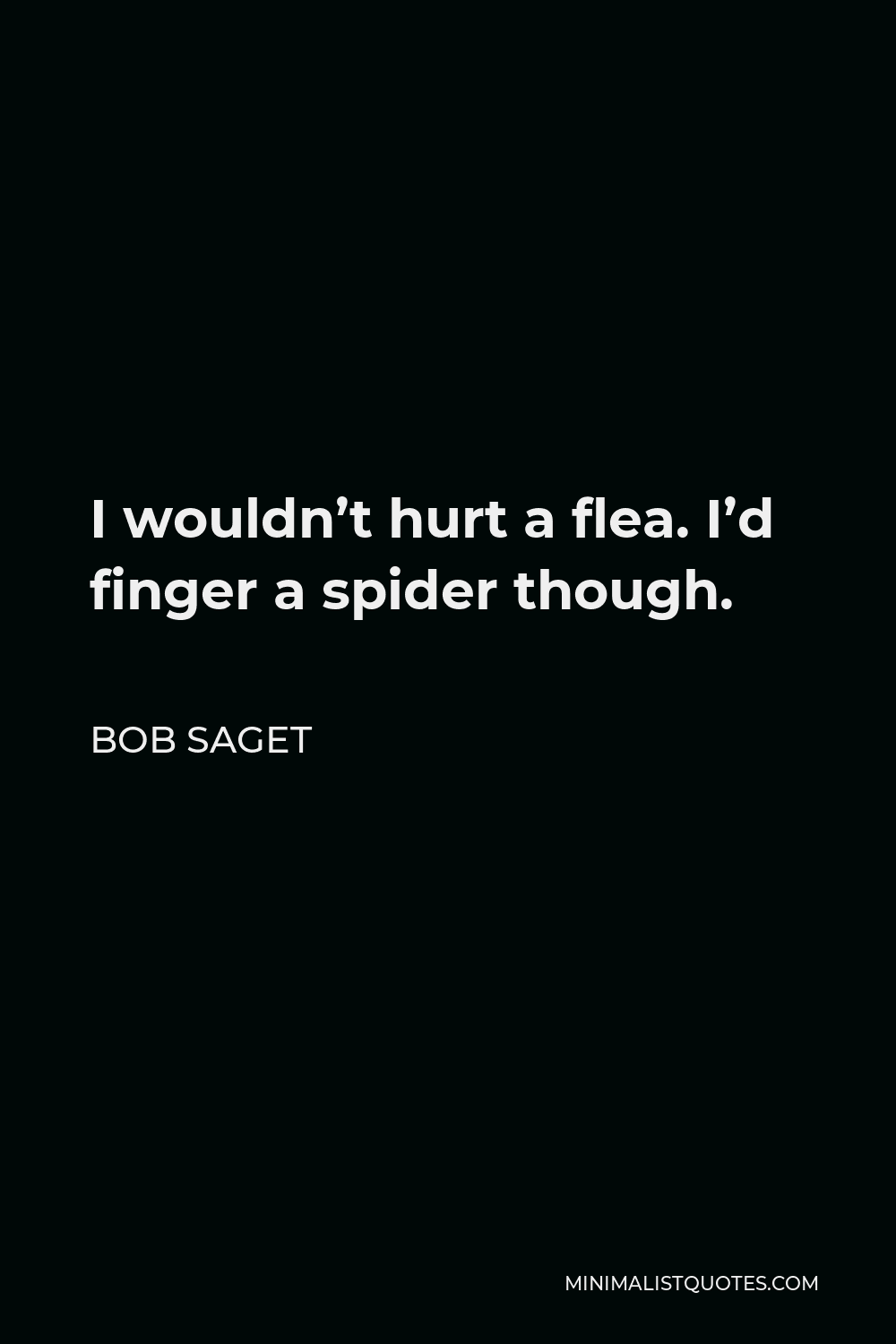 Bob Saget Quote - I wouldn’t hurt a flea. I’d finger a spider though.