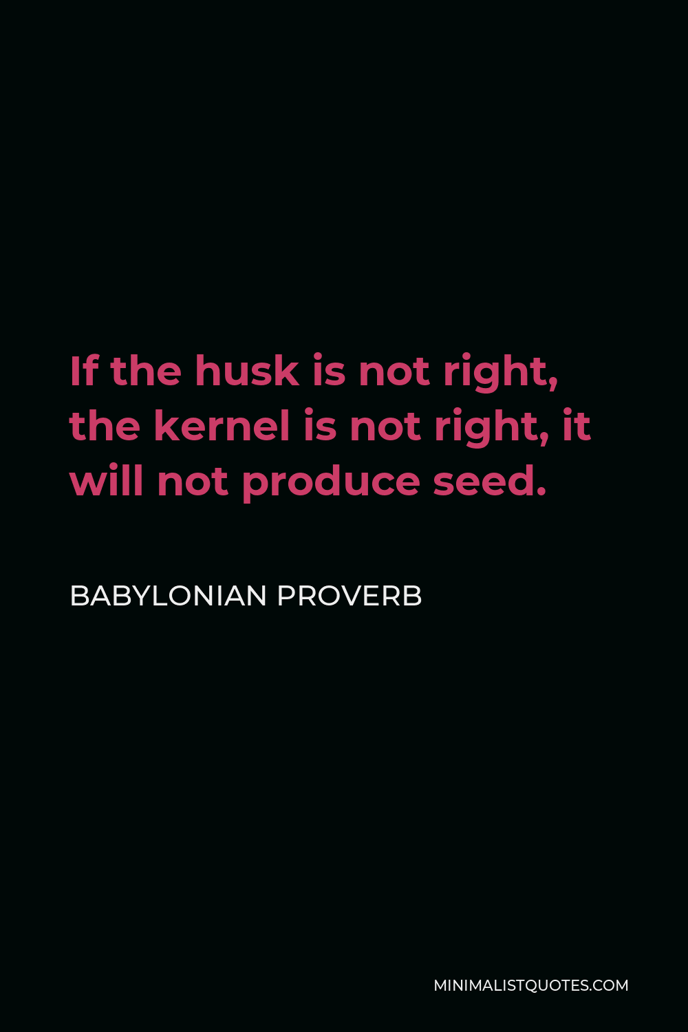 Babylonian Proverb Quote - If the husk is not right, the kernel is not right, it will not produce seed.