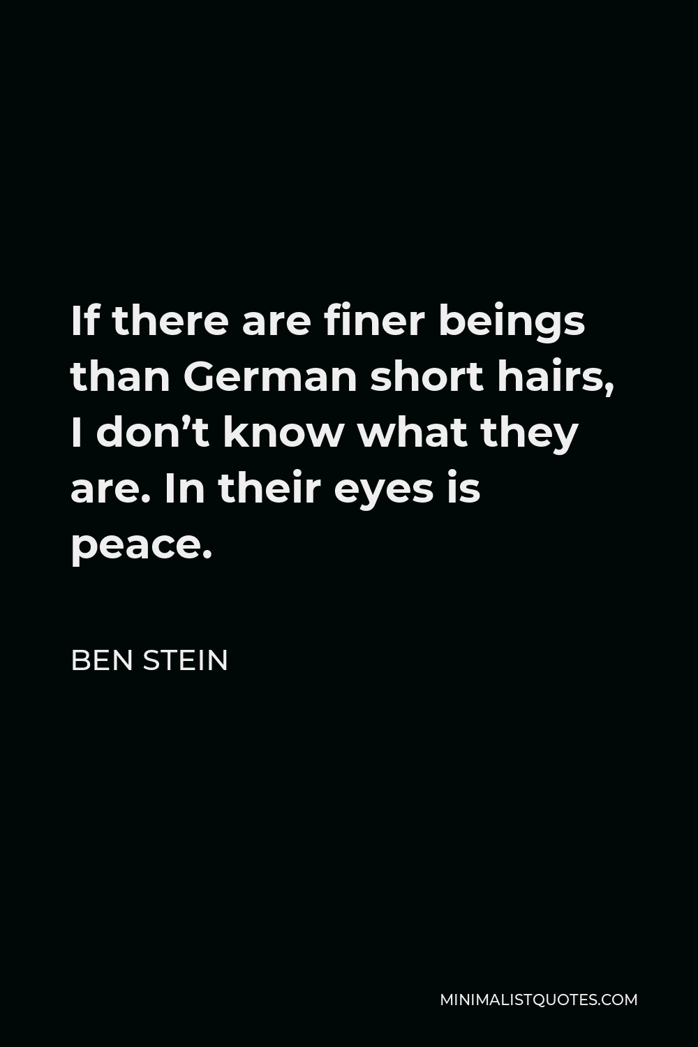 Ben Stein Quote - If there are finer beings than German short hairs, I don’t know what they are. In their eyes is peace.