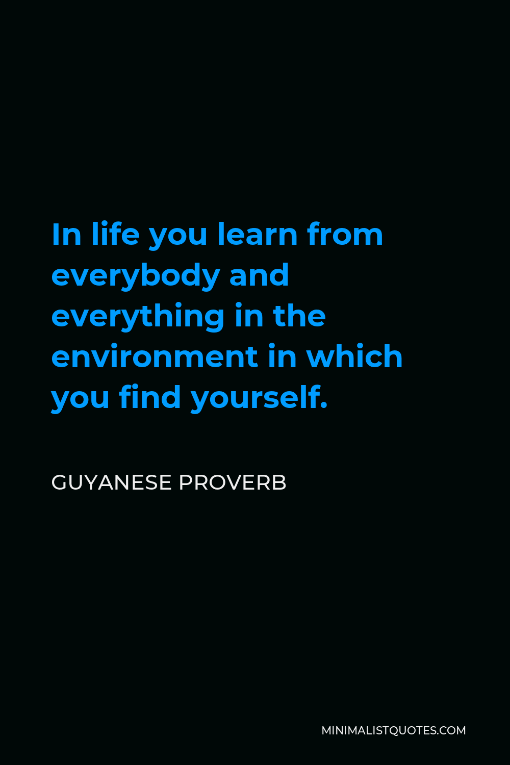 Guyanese Proverb Quote - In life you learn from everybody and everything in the environment in which you find yourself.