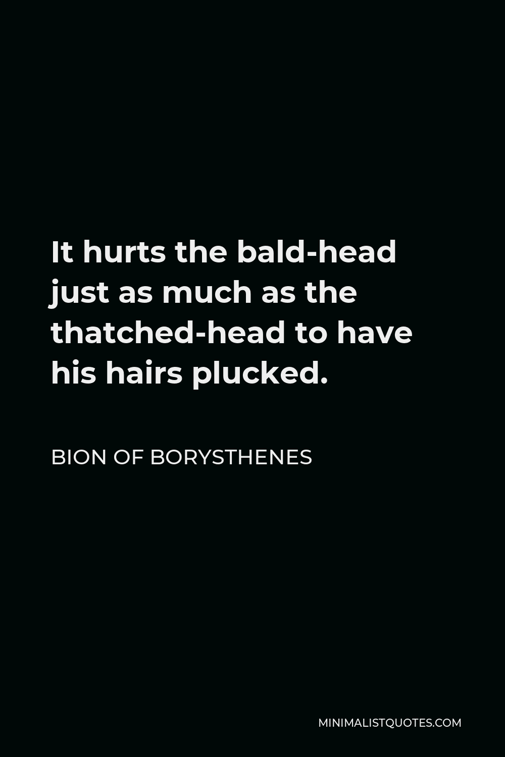 Bion of Borysthenes Quote - It hurts the bald-head just as much as the thatched-head to have his hairs plucked.