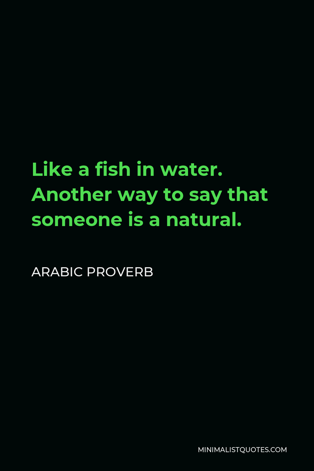 Arabic Proverb Quote - Like a fish in water. Another way to say that someone is a natural.