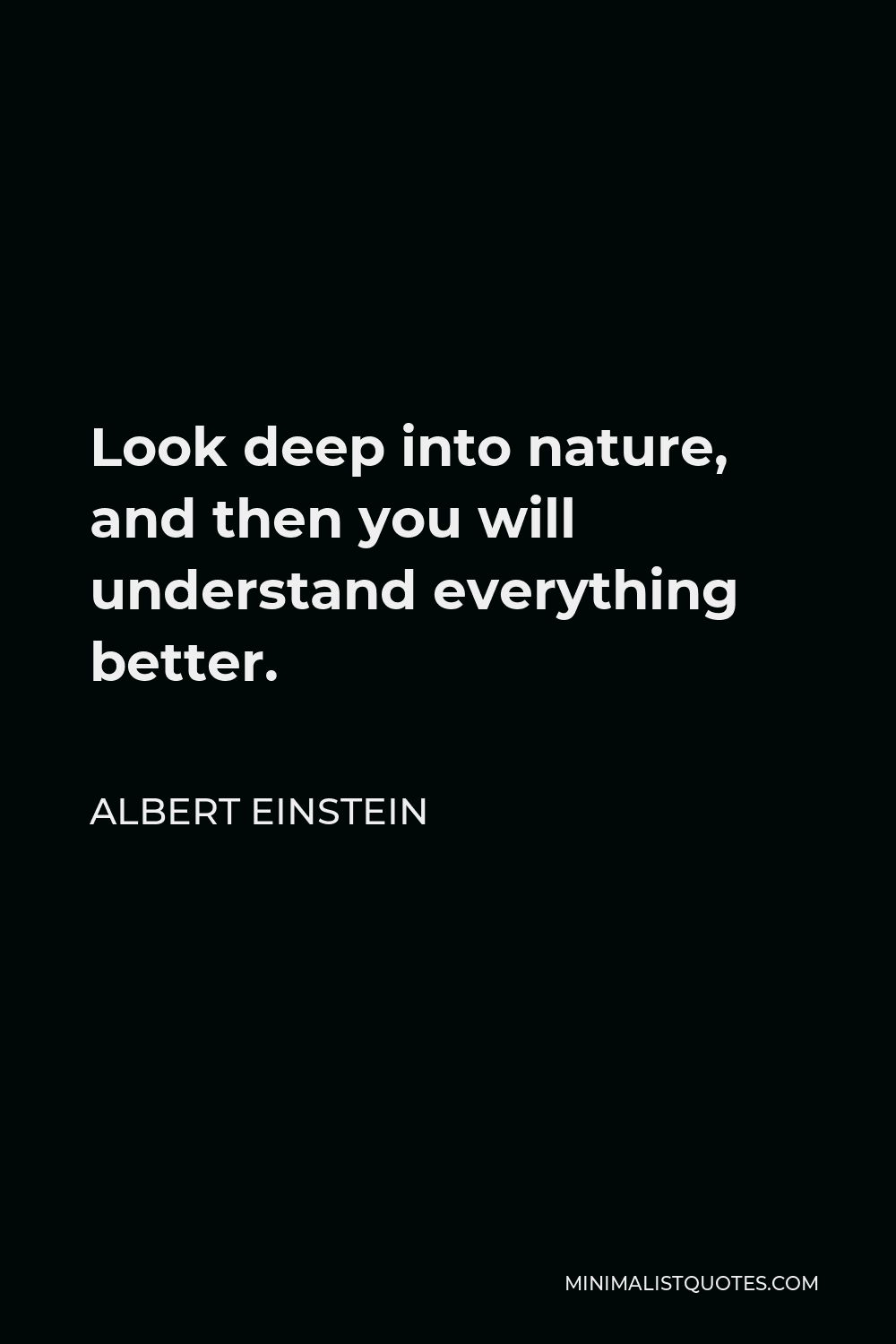 Albert Einstein Look into nature, and then you will understand everything