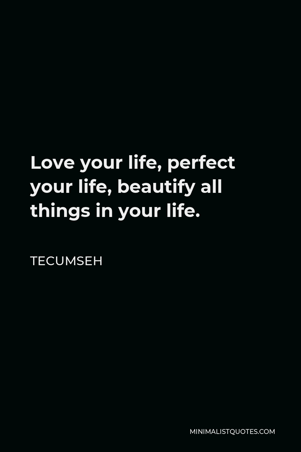 Tecumseh Quote - Love your life, perfect your life, beautify all things in your life.
