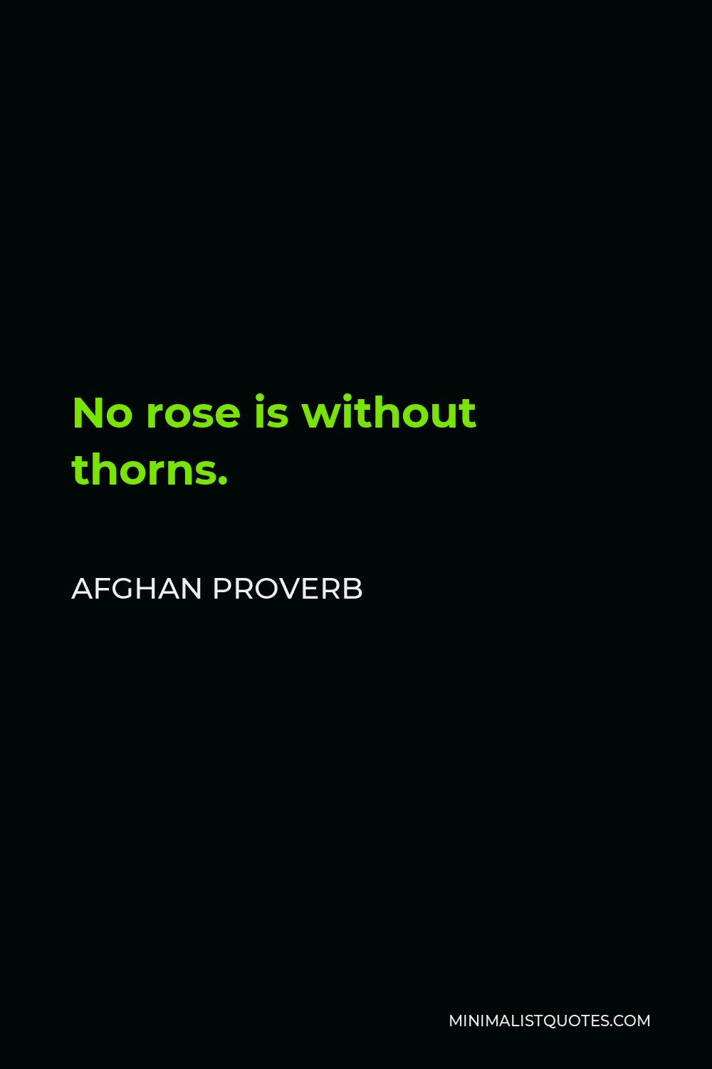 Afghan Proverb Quote - No rose is without thorns.