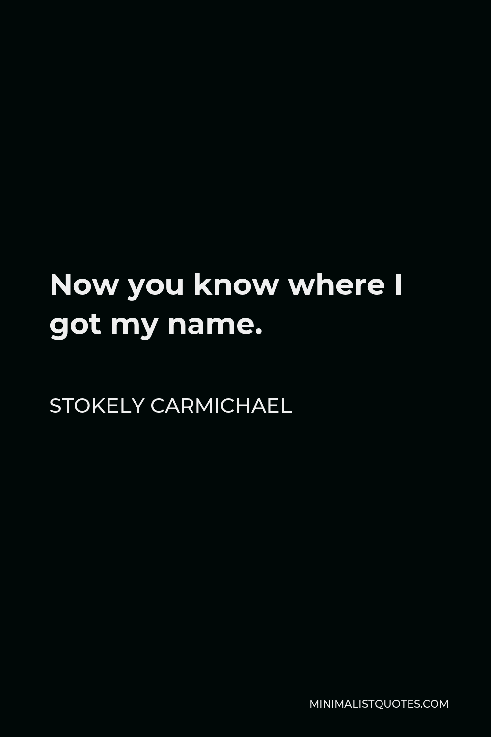 Stokely Carmichael Quote - Now you know where I got my name.