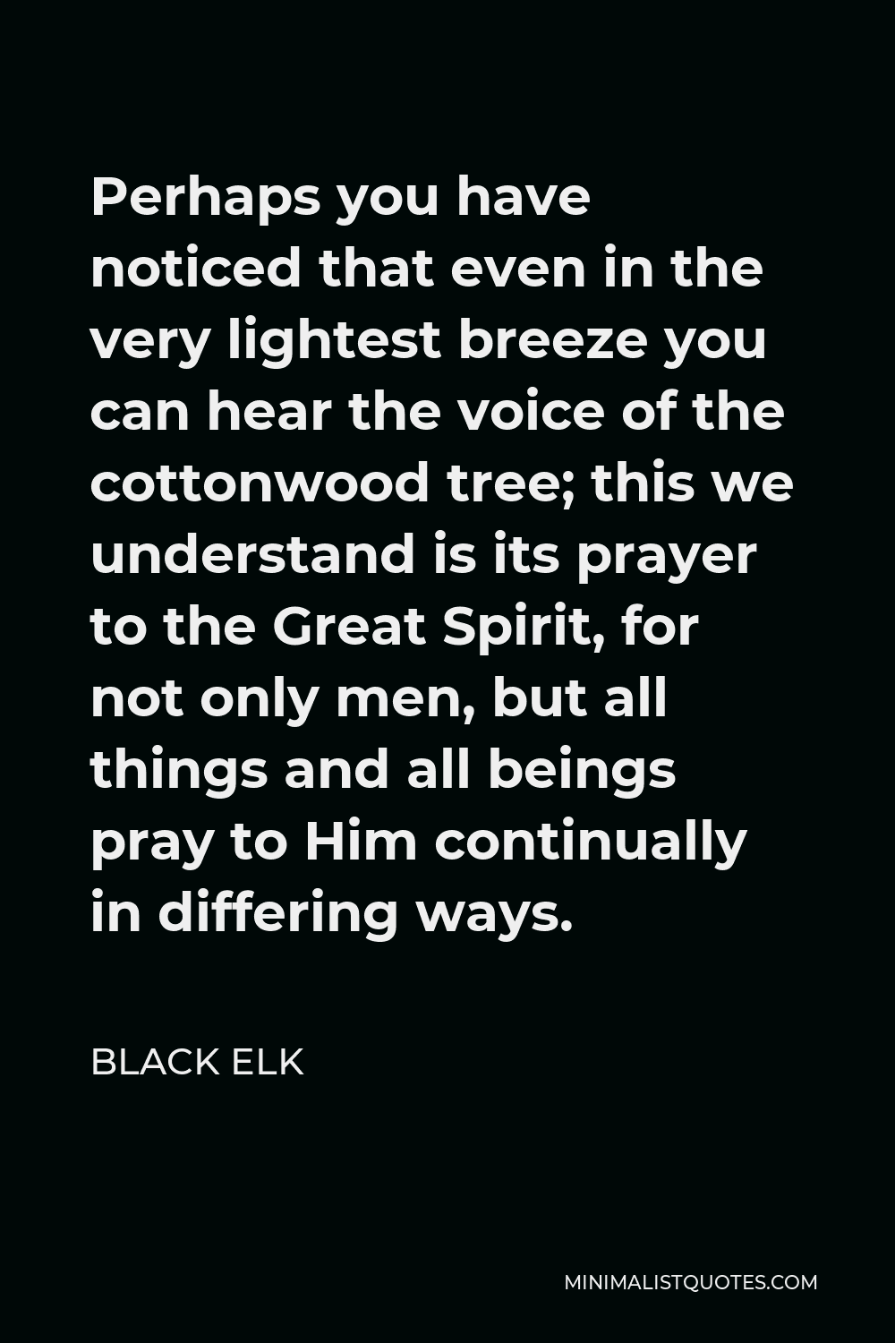 Black Elk Quote - Perhaps you have noticed that even in the very lightest breeze you can hear the voice of the cottonwood tree; this we understand is its prayer to the Great Spirit, for not only men, but all things and all beings pray to Him continually in differing ways.