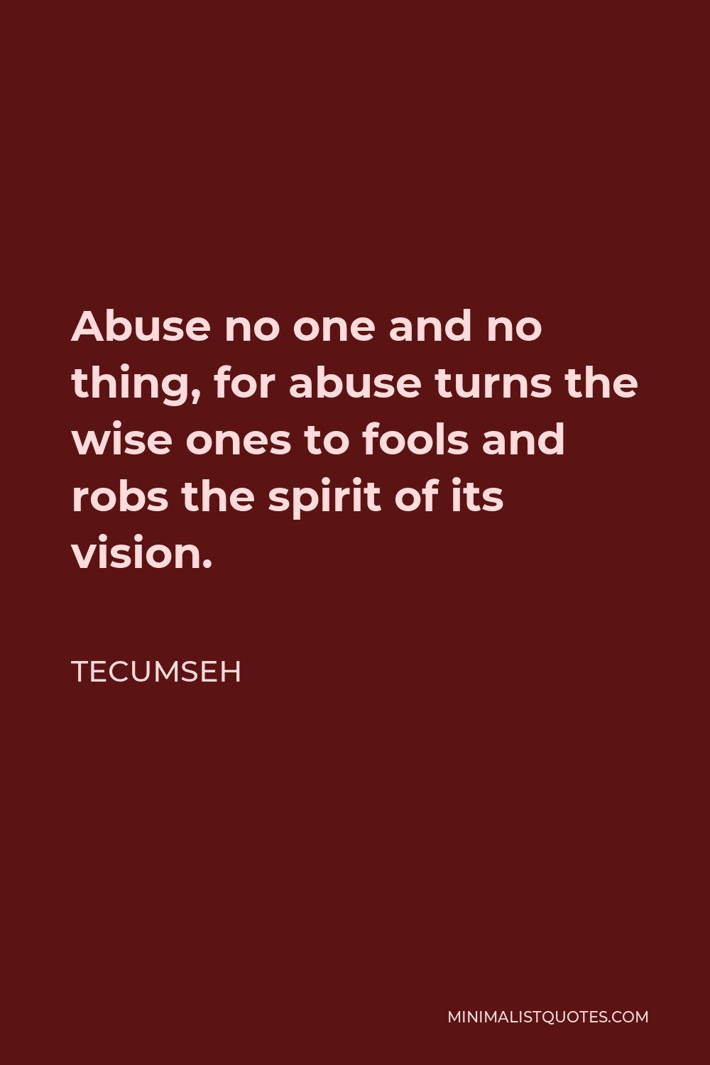 Tecumseh Quote - Abuse no one and no thing, for abuse turns the wise ones to fools and robs the spirit of its vision.
