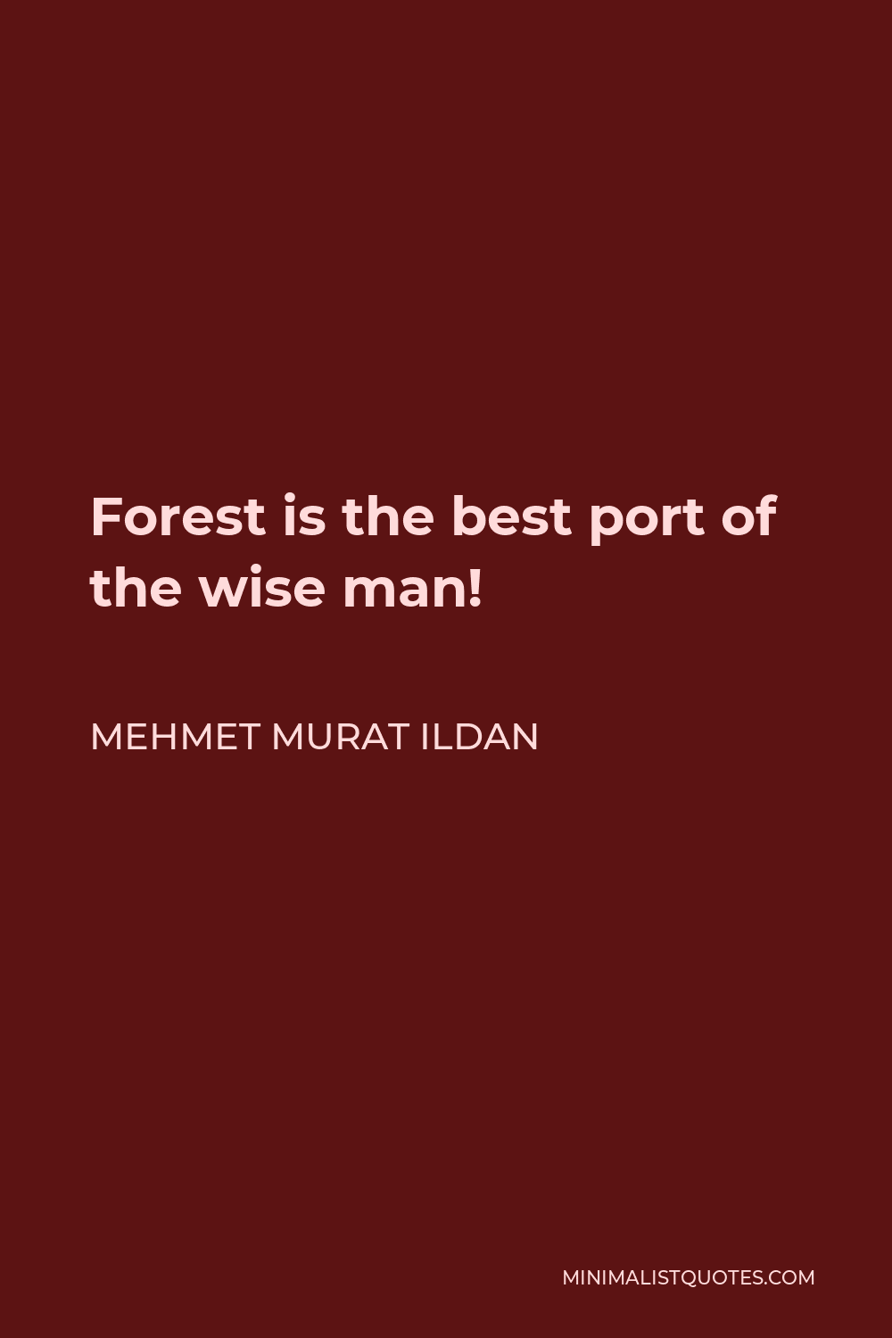 Mehmet Murat Ildan Quote - Forest is the best port of the wise man!