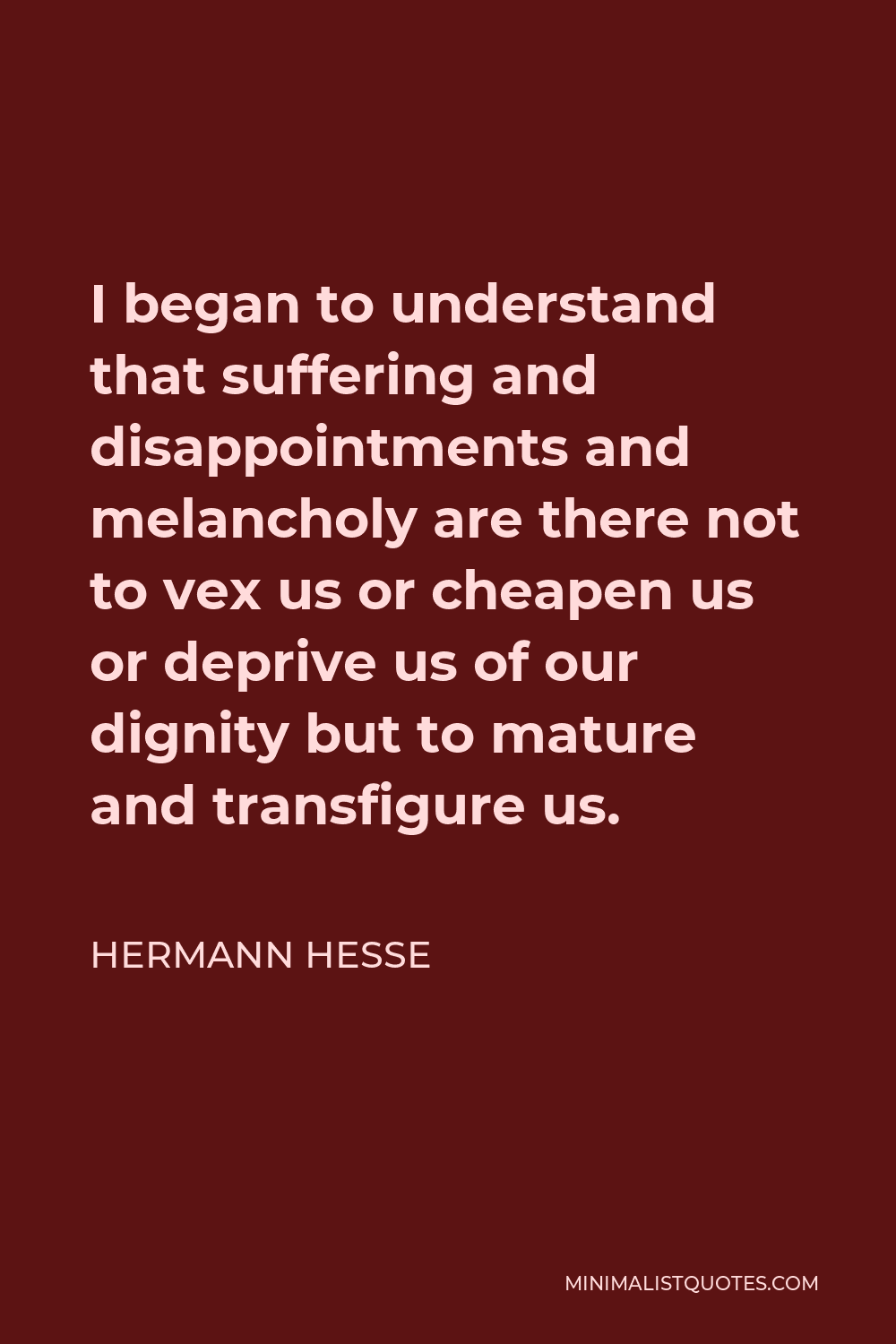 Hermann Hesse Quote - I began to understand that suffering and disappointments and melancholy are there not to vex us or cheapen us or deprive us of our dignity but to mature and transfigure us.