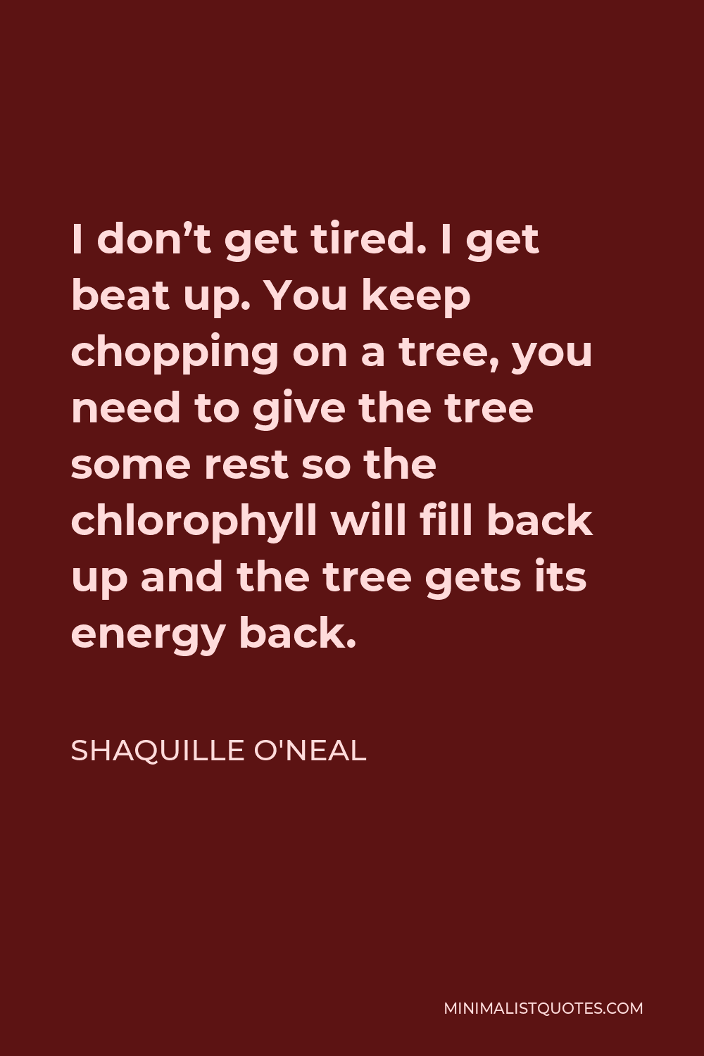 Shaquille O'Neal Quote - I don’t get tired. I get beat up. You keep chopping on a tree, you need to give the tree some rest so the chlorophyll will fill back up and the tree gets its energy back.